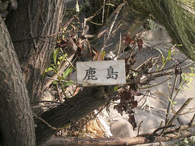 ��������Ƃ炵����B