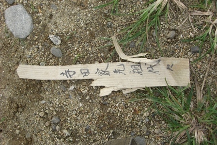 �����k�̂悤�Ȃ��́B��������Ȑl��������̂ł��B