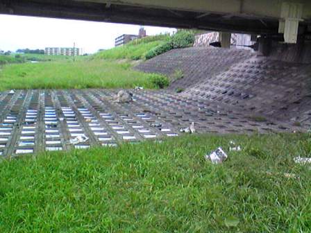 ��݂ɃS�~�����܂�܂��B