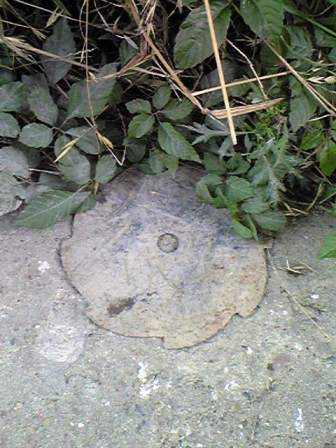 �����@�̐n�B