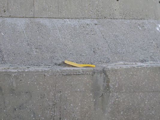 �����ɃI�[���̐�B